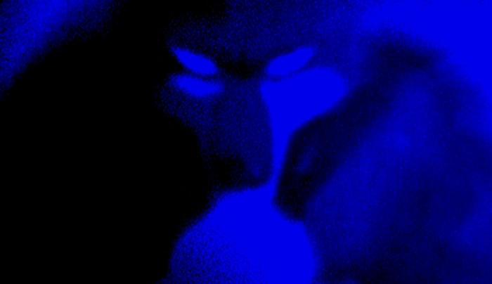 Créativité stratégique